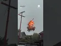 Tree Branch Catches Fire in Power Lines in Columbus Ohio