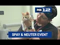 Oregon Humane spays and neuters over 300 pets at Portland Salem event