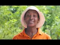 Download PlantVillage: AI Helping Farmers Detect Plant Diseases mp4 3gp mp3 videos - waplic