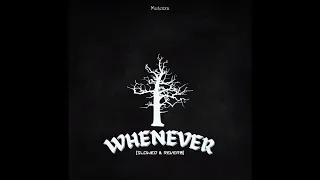 Timi Whenever Slowed Reverb 