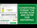 Conditional Format the Entire Row with Filter Data Validation - Excel Quick View Series