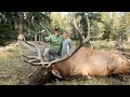 Download Lagu BEST HUNT IN 80 YEARS | 4K HUSH HUNT FILM |