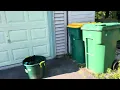 IMG 4893