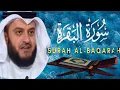 Download Lagu Mishary bin Rashid Alafasy (مشاري بن راشد العفاسي) Surah Baqarah Heart touching recitation ❤️❤️❤️