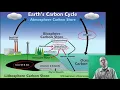 Biology Nutrient cycles