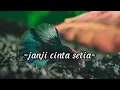 Download Lagu Thomas Arya feat fany zee - janji cinta setia (lirik video)