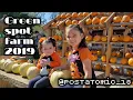Pumpkin patch greenspot farms Mentone California