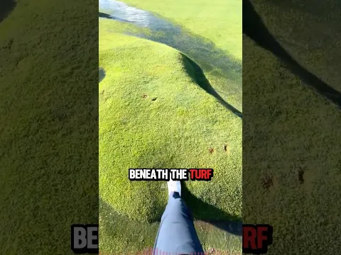 This Is Why Golf Courses Make You Sweep ⛳