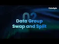 02 Data Group Swap and Split