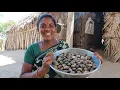 Download Lagu மதினி செய்த கடல் சிப்பி தொக்கு | Sea oyster collection made by Madhini