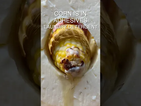 6 True Facts About Corn                  #cornonthecob #corn
