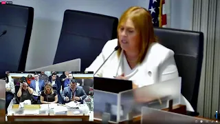 EN VIVO | Secretaria de la Familia, Suzanne Roig Fuertes, testifica en el Senado
