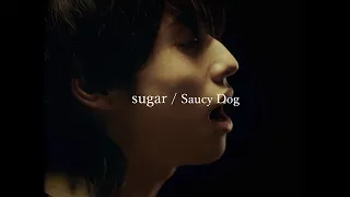 Saucy Dog「sugar」Music Video 