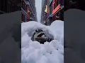Download Lagu “A Snowy Pause in New York”