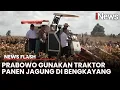 Download Lagu Momen Presiden Prabowo Ditemani Mentan Amran Panen Jagung Gunakan Traktor | News Flash