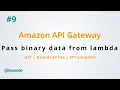 How to pass binary data from lambda function to API Gateway - Amazon API Gateway p9
