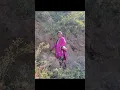 Download Lagu Jwala mai #reels #subscrib #subscrib #instagram #😍💞💞😊🙏❤️🌹🥰Jay Jwala Ji
