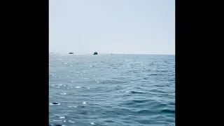 وحشنا يا رسول الله بدون موسيقى 