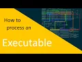 Let s Make a Programming Language Episode 74 How to process an executable the header