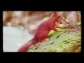 Download Lagu Waarom fluister ik je naam. Instrumentaal Peter Swaanen.