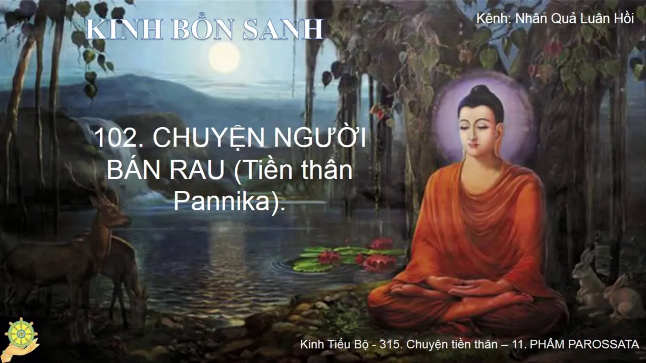 102 Truyện NGƯỜI BÁN RAU Tiền thân Pannika K.Bổn Sanh, Bổn Sự 