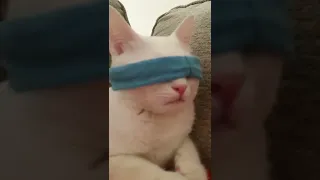 شوفوا الحركه دي 