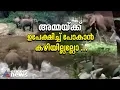 5 മണിക്കൂർ നീണ്ട പരിശ്രമം; തൃശ്ശൂരിൽ കാനയിൽ വീണ ആനക്കുട്ടിയെ അമ്മയാന രക്ഷിച്ചു | Wild Elephant