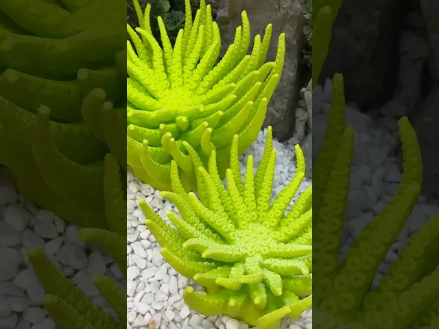 Lulzbowl - Small video thumbnail