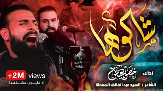 شالوها الرادود خضر عباس 