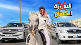 تجربة استخدام الخيل كوسيلة نقل في زماننا الحالي       مممتعه   دندنها