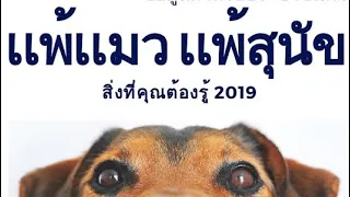 สารก่อภูมิแพ้จากน้องหมาและน้องแมวคืออะไร และมาจากส่วนใดของร่างกายสัตว์เหล่านี้
