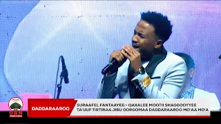 Suraafel Fantaayee Qaxalee Mootii Shaggooyyee Ta Uuf Tirtiraa Jiru Dorgomaa Daddaraaroo Mo Aa Mo A  Suraafel Fantaayee Qaxalee Mootii Shaggooyyee Ta Uuf Tirtiraa Jiru Dorgomaa Daddaraaroo Mo Aa Mo A