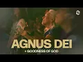 Download Lagu Morning Worship Set | Agnus Dei (Live Worship) | Grace Revolution Worship