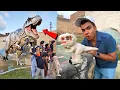 TOY DINOSAUR TURNED INTO A REAL DINOSAUR 😱 How is Possible ?