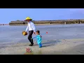 费玉清演唱的《绿岛小夜曲》悠扬动听，百听不厌，让人心旷神怡 #听歌赏景 #带你去海边