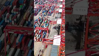 الرقصة الصامتة كيف تتحرك الحاويات لت حر ك العالم 