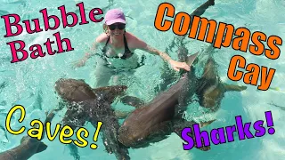 Compass Cay in the Bahamas | Sailing Wisdom Ep 128