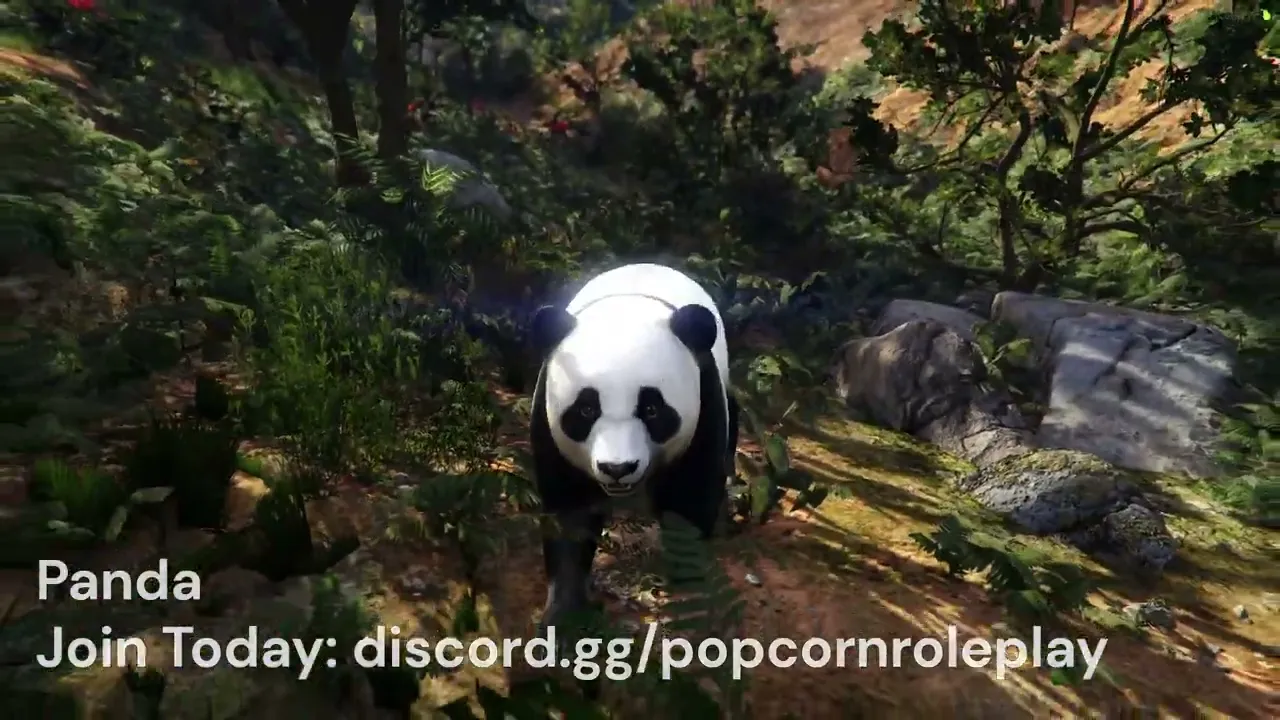 Panda