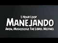 Download Lagu Akon, Musicologo The Libro, Melymel - Manejando {1 Hour Loop}