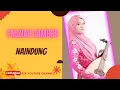 Lagu FAUZIAH GAMBUS - NAINDUNG #video #fauziahgambus #naindung