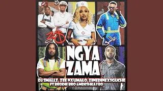 Dj Smallz, Zee Nxumalo & ZinedinexSguche - Ngyazama (Official Audio) feat. Brodie.Bro &Mdeshkayro