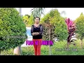 Download Lagu Lagu Timor-Leste || FUAN NE LAMETIN || Cipt. Adin Gusmao || cover by Thilde Tahuk