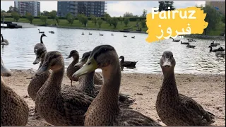  فيروز   إذا رجعت بجن وإن تركتك بشقى مش كاين هيك تكون        دندنها