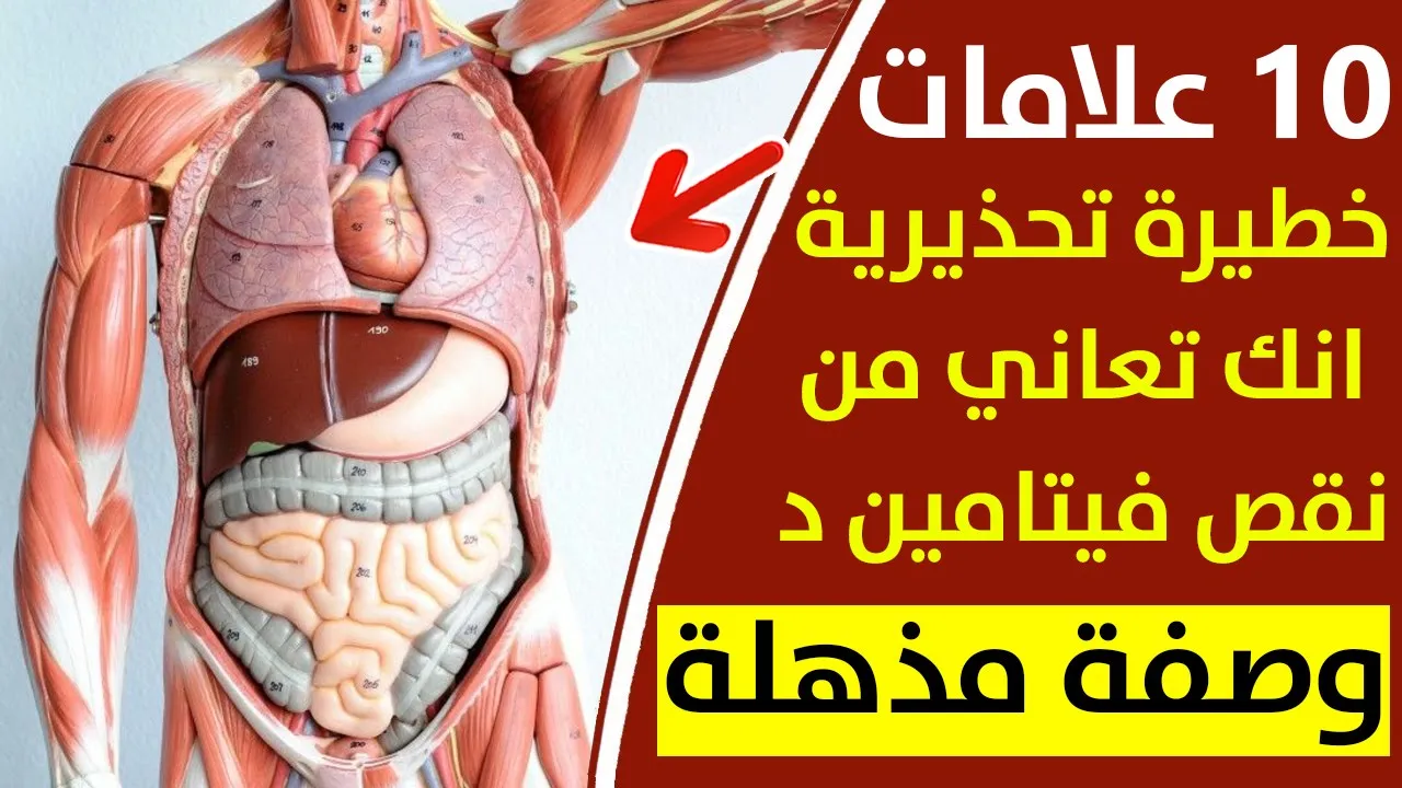 هدية من رب السماء أحصل على فيتامين دال بطريقة مجانية، تعرف على الاوقات الصحيحة للجلوس بالشمس وشاهد