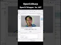 Creating a Face Detection Windows App in C with OpenCVSharp My Experience
