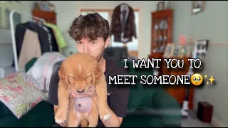 I Want You To Meet Someone xx