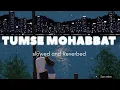 Download Lagu Tumse Mohabbat Hai (By Jalraj)//slowed \u0026 Reverbed #jalraj #lofi