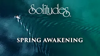 Download Dan Gibson’s Solitudes - Myriad Greens | Spring Awakening MP3