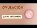 How do I know if I m ovulating These are the signs