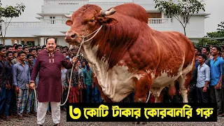 ৩ কোটি টাকার বিশাল দানব গরু কোরবানি দিলেন ডিপজল ভাই | গরুর খামার | Dipjol Gorur Khamar 2026 P8